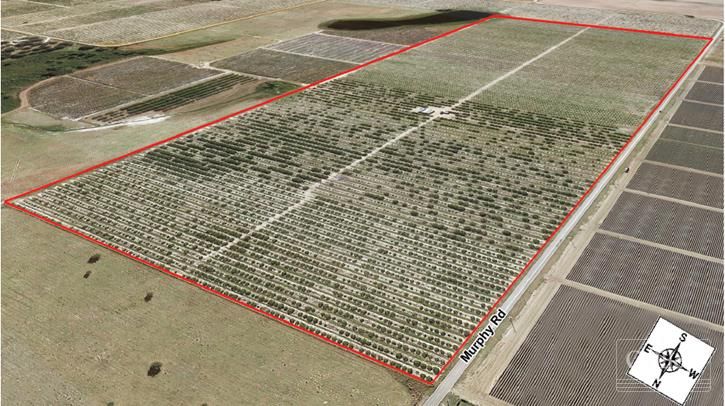 Murphy Road, Bartow, FL 33830